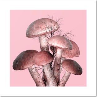 Pink Mushrooms Posters and Art